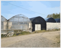  2025Ÿ��62892 ��� ����� ���籸 ���ڵ� 129-3      ����(��)���