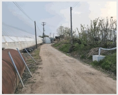  2025Ÿ��62892 ��� ����� ���籸 ���ڵ� 129-3      ����(��)���