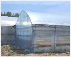  2025Ÿ��62892 ��� ����� ���籸 ���ڵ� 129-3      ����(��)���