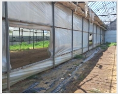  2025Ÿ��62892 ��� ����� ���籸 ���ڵ� 129-3      ����(��)���