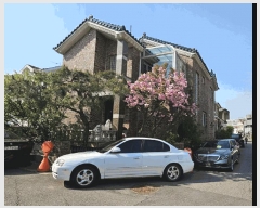  2025Ÿ62914   ϻ굿 ߻굿 833-9      ð