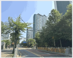  2025Ÿ63236  ֽ ̵ 1003 縶߶ä 510 7704ȣ    Ʈ