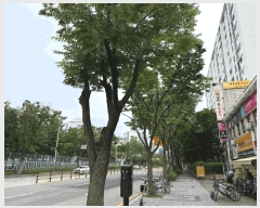  2025Ÿ��63420  ����Ʈ���