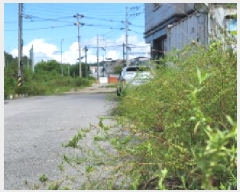  2025Ÿ��63528  ���ΰ��