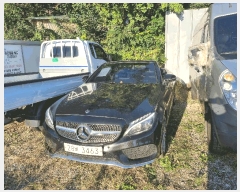  2025Ÿ63549 ֽ  ɾȸ 239       