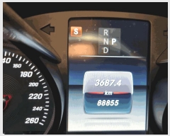  2025Ÿ63549 ֽ  ɾȸ 239       