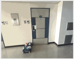  2025Ÿ��63628  ���ǽ��ڰ��