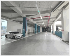  2025Ÿ��63907 ��� ����� ���籸 �⵿�� 396 �����׶�Ÿ���𿥾� 4����-438ȣ    ����Ʈ��������