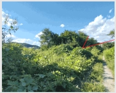  2025Ÿ��64111 ��� ���ֽ� ������ ��ɸ� 277-5      ����(����)���