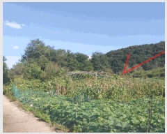  2025Ÿ��64111 ��� ���ֽ� ������ ��ɸ� 277-5      ����(����)���