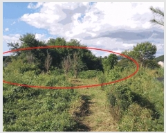  2025Ÿ��64111 ��� ���ֽ� ������ ��ɸ� 277-5      ����(����)���