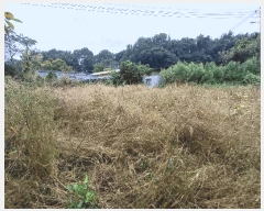  2025Ÿ��64308 ��� ����� ���籸 ���絿 296-3      ����(��1)���