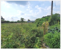  2025Ÿ��64308 ��� ����� ���籸 ���絿 296-3      ����(��1)���