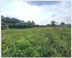  2025Ÿ��64308 ��� ����� ���籸 ���絿 296-3      ����(��1)���