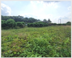  2025Ÿ��64308 ��� ����� ���籸 ���絿 296-3      ����(��1)���