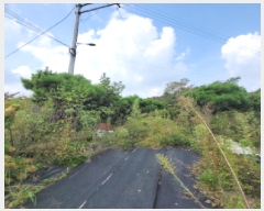  2025Ÿ��64308 ��� ����� ���籸 ���絿 296-3      ����(��1)���