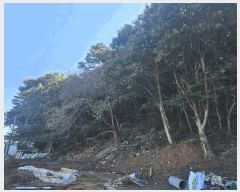  2025Ÿ��64337  �Ӿ߰��