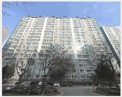  2025Ÿ��64721 ��� ���ֽ� ���̵� 1003 ���縶���߶�ä 515�� 5��506ȣ    ����Ʈ���