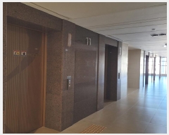  2025Ÿ��64848  ����Ʈ���