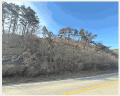  2025Ÿ��64871 ��� ���ֽ� ������ ���ϸ� ��124-5      ����(�Ӿ�)���