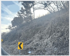  2025Ÿ��64871 ��� ���ֽ� ������ ���ϸ� ��124-5      ����(�Ӿ�)���