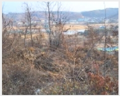  2025Ÿ��64871 ��� ���ֽ� ������ ���ϸ� ��124-5      ����(�Ӿ�)���