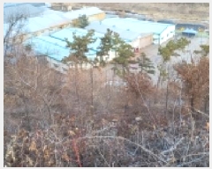  2025Ÿ��64871 ��� ���ֽ� ������ ���ϸ� ��124-5      ����(�Ӿ�)���