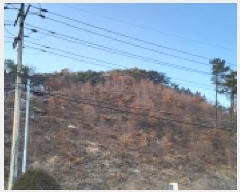  2025Ÿ��64871 ��� ���ֽ� ������ ���ϸ� ��124-5      ����(�Ӿ�)���