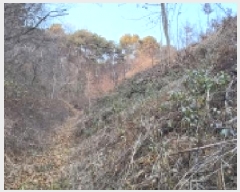  2025Ÿ��64871 ��� ���ֽ� ������ ���ϸ� ��124-5      ����(�Ӿ�)���