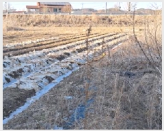  2025Ÿ��439 ��� ���ֽ� ������ ������ ��27      ����(�Ӿ�)���