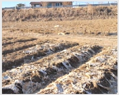  2025Ÿ��439 ��� ���ֽ� ������ ������ ��27      ����(�Ӿ�)���