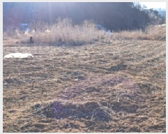  2025Ÿ��439 ��� ���ֽ� ������ ������ ��27      ����(�Ӿ�)���