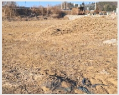  2025Ÿ��439 ��� ���ֽ� ������ ������ ��27      ����(�Ӿ�)���