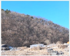  2025Ÿ��439 ��� ���ֽ� ������ ������ ��27      ����(�Ӿ�)���