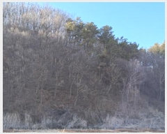  2025Ÿ��439 ��� ���ֽ� ������ ������ ��27      ����(�Ӿ�)���