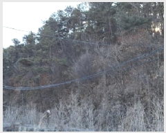  2025Ÿ��439 ��� ���ֽ� ������ ������ ��27      ����(�Ӿ�)���