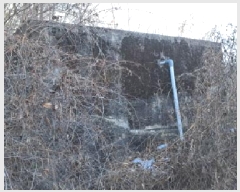  2025Ÿ��439 ��� ���ֽ� ������ ������ ��27      ����(�Ӿ�)���