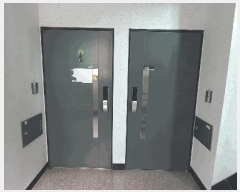  2025Ÿ��4486  �ټ���(����)���