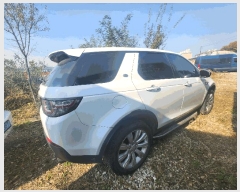  2025Ÿ��5595 ��� ���ֽ� ������ �ɾȸ� 239      �������