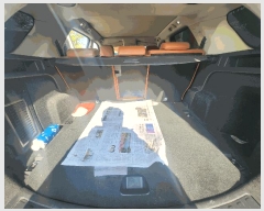  2025Ÿ��5595 ��� ���ֽ� ������ �ɾȸ� 239      �������