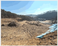  2025Ÿ62381  ֽ   141-5      (Ӿ)