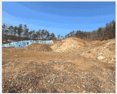  2025Ÿ62381  ֽ   141-5      (Ӿ)