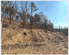  2025Ÿ62381  ֽ   141-5      (Ӿ)