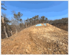  2025Ÿ62381  ֽ   141-5      (Ӿ)