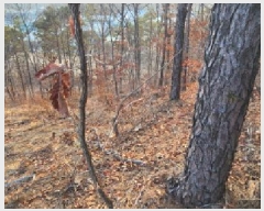  2025Ÿ62381  ֽ   141-5      (Ӿ)