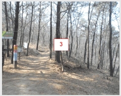  2025Ÿ62539  ֽ ո  180-2      (Ӿ)