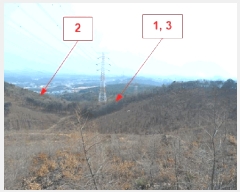  2025Ÿ62539  ֽ ո  180-2      (Ӿ)