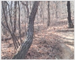  2025Ÿ62539  ֽ ո  180-2      (Ӿ)