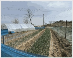  2025Ÿ62568  ֽ  ֿ 354-12      (1)