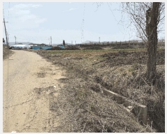  2025Ÿ62568  ֽ  ֿ 354-12      (1)